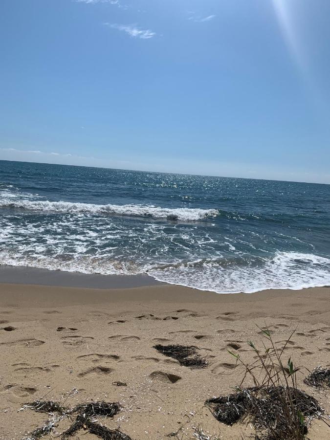 Аппартамент Pines Beach Resort Bjala Exteriér fotografie